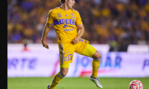 Tigres