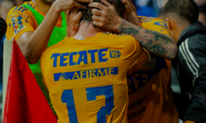 Tigres