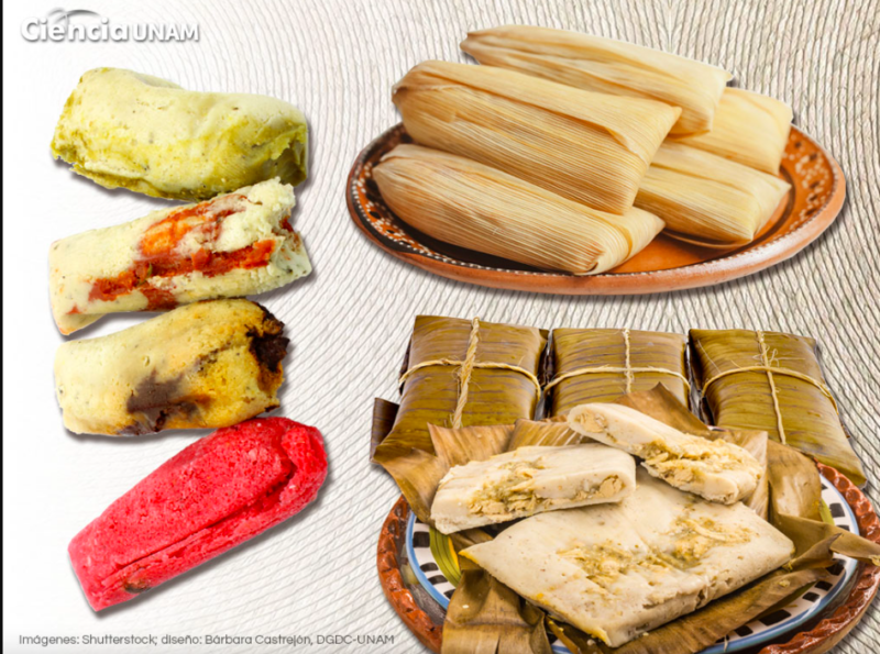 Tamales 800x595 - La riqueza de la gastronomía mexicana